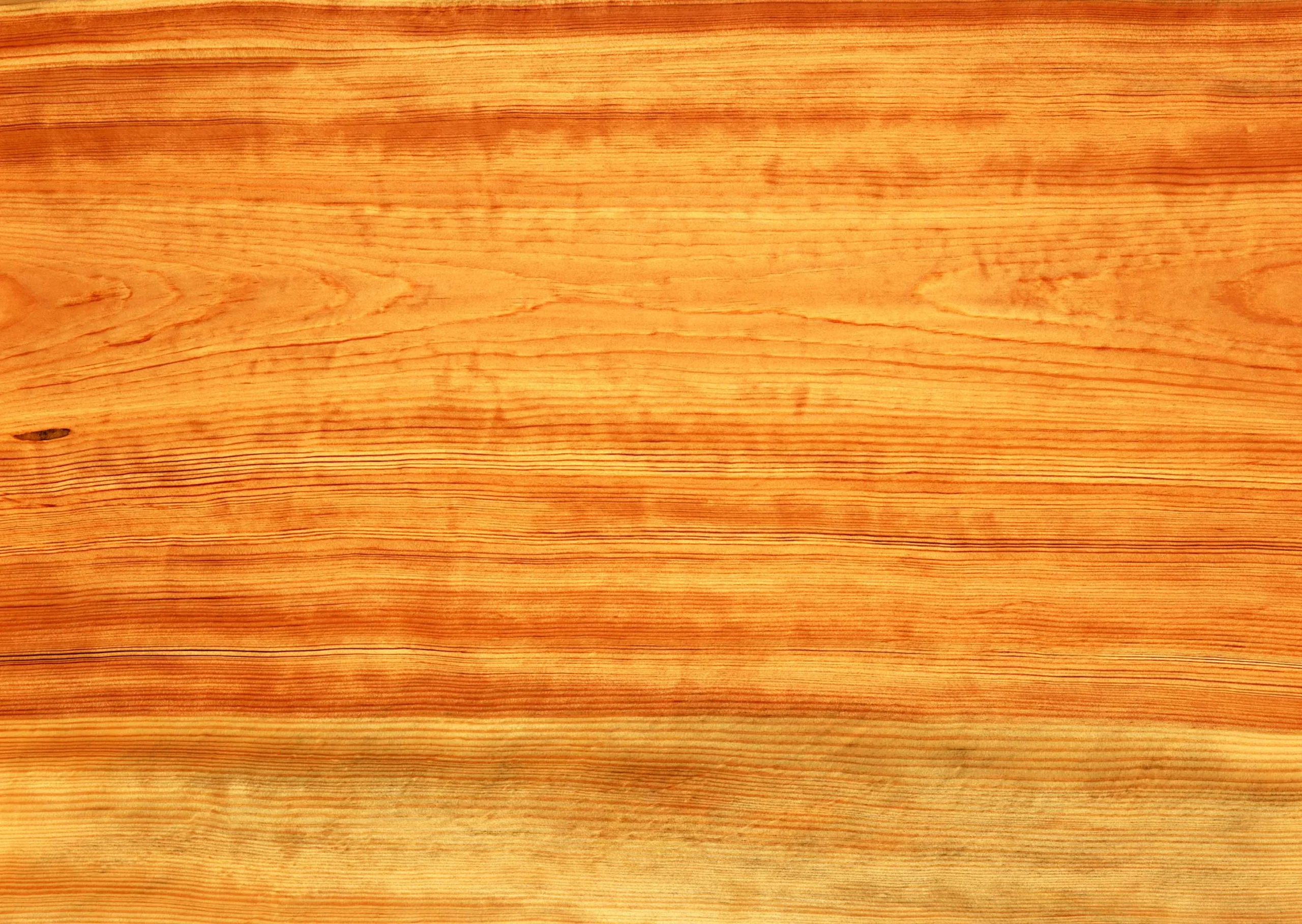 Lưu nháp tự động