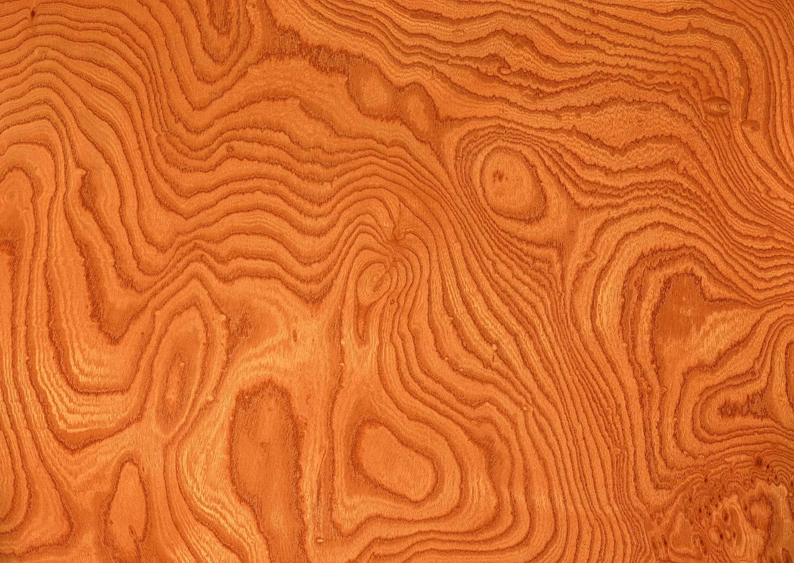 Lưu nháp tự động