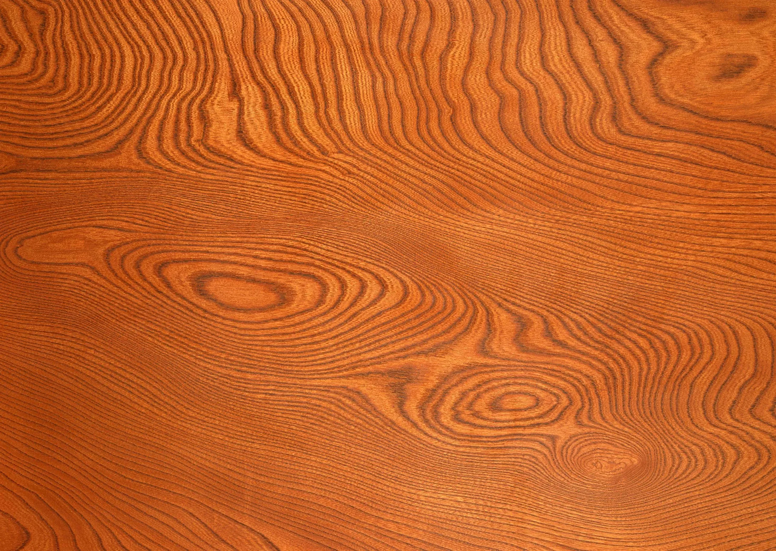 Lưu nháp tự động