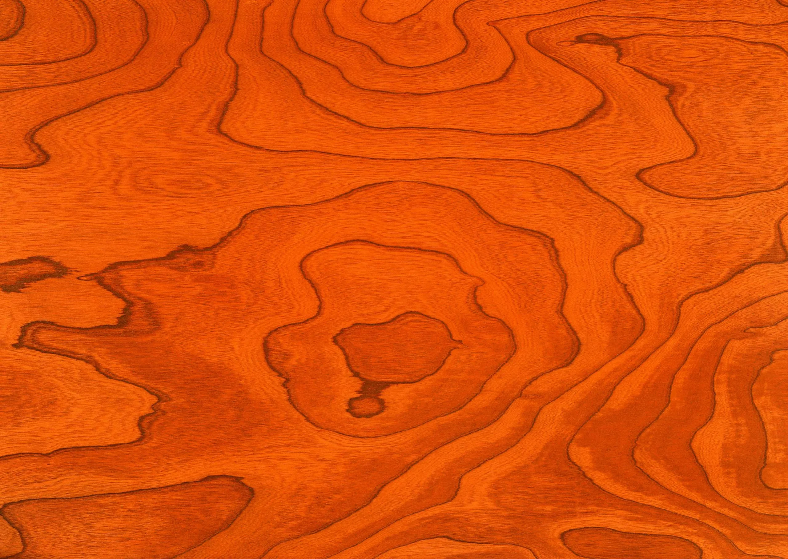 Lưu nháp tự động