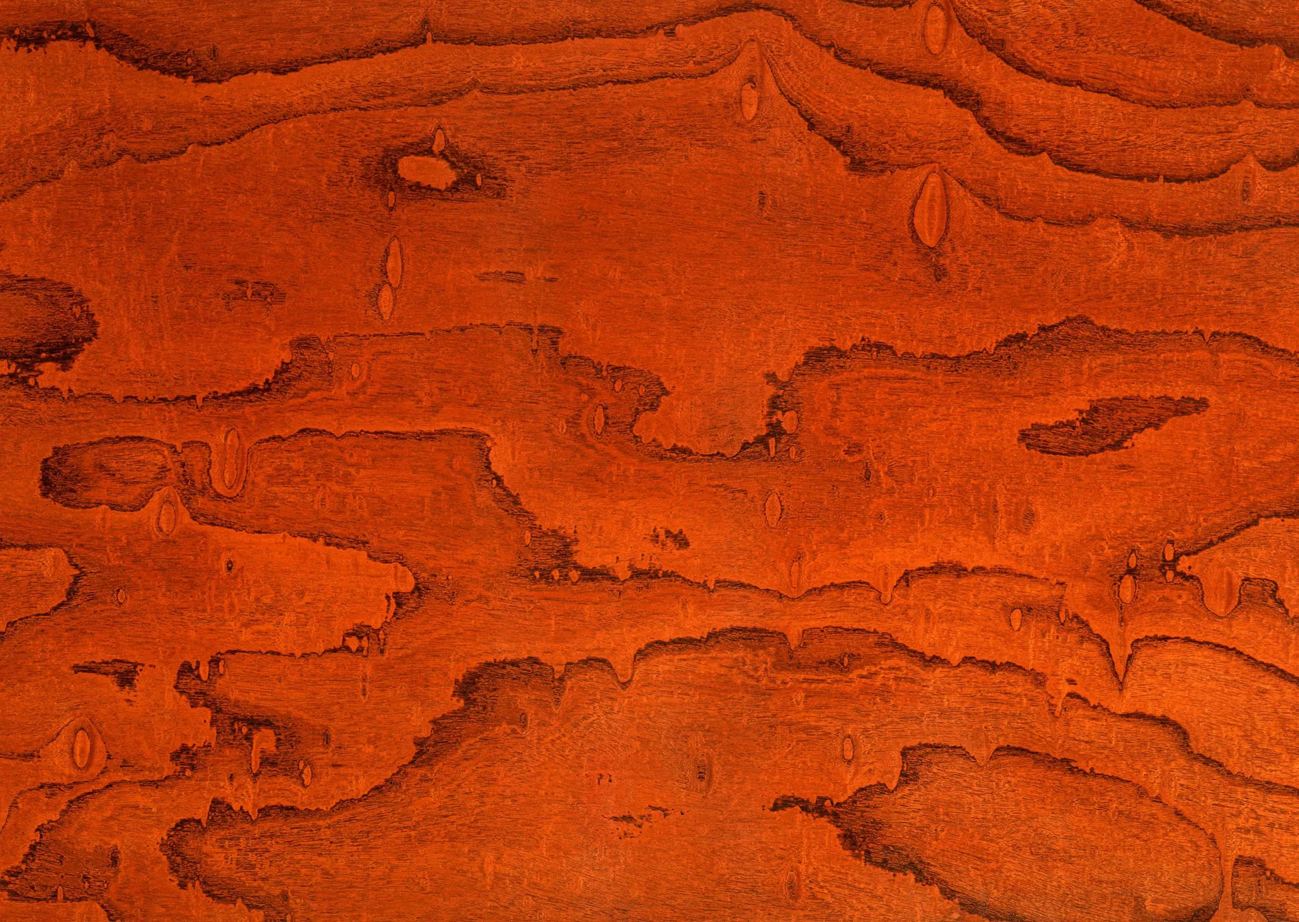 Lưu nháp tự động