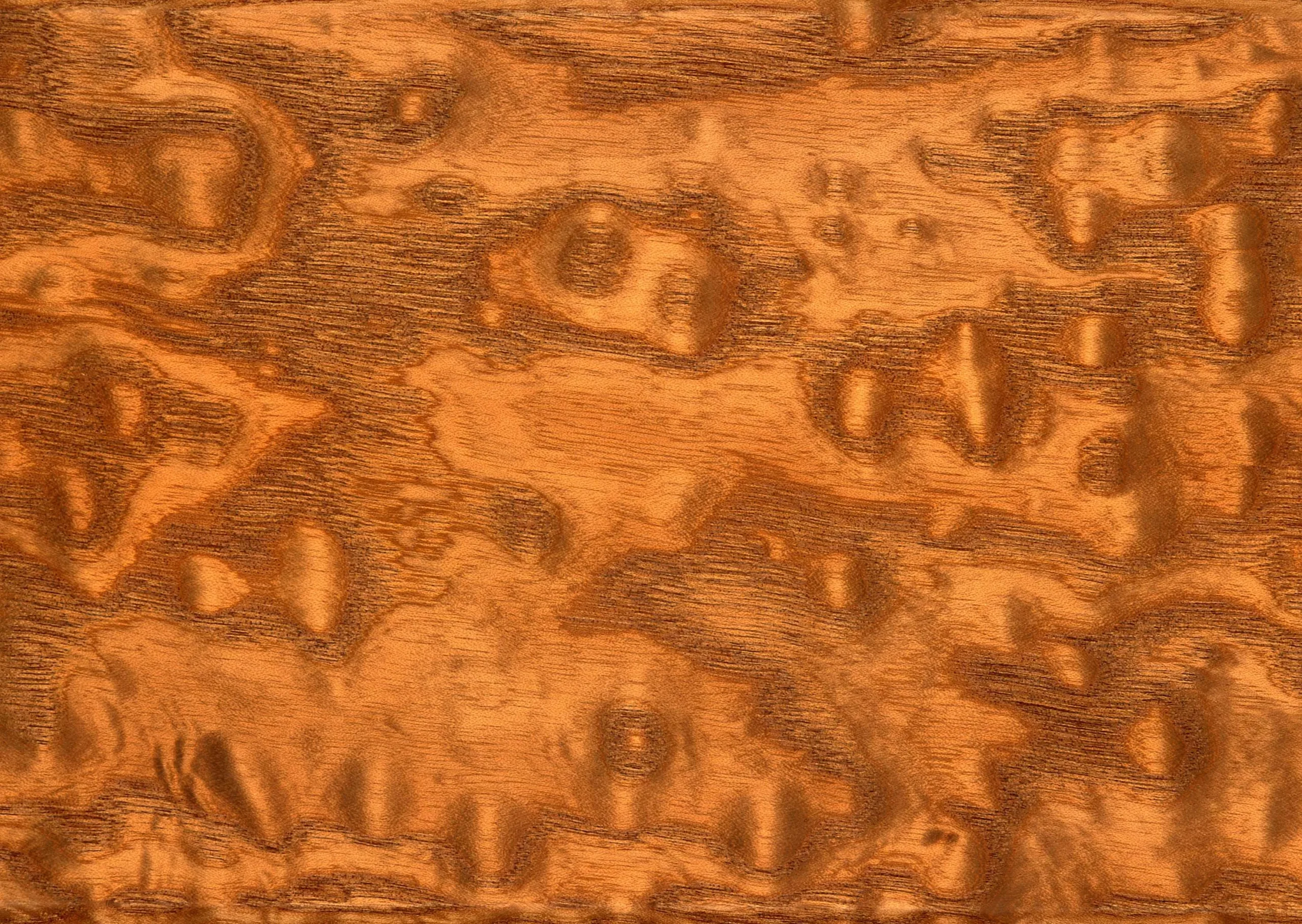 Lưu nháp tự động