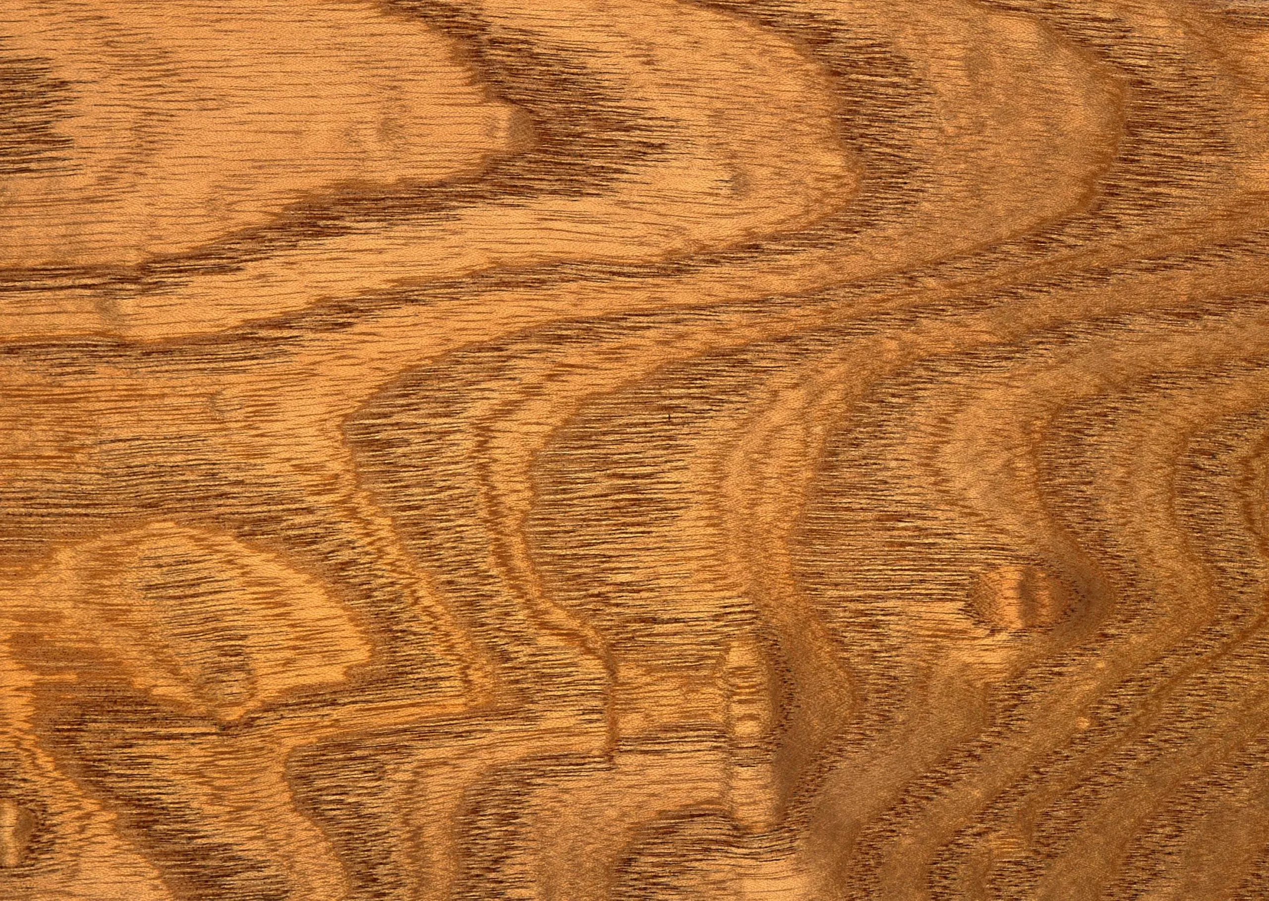 Lưu nháp tự động