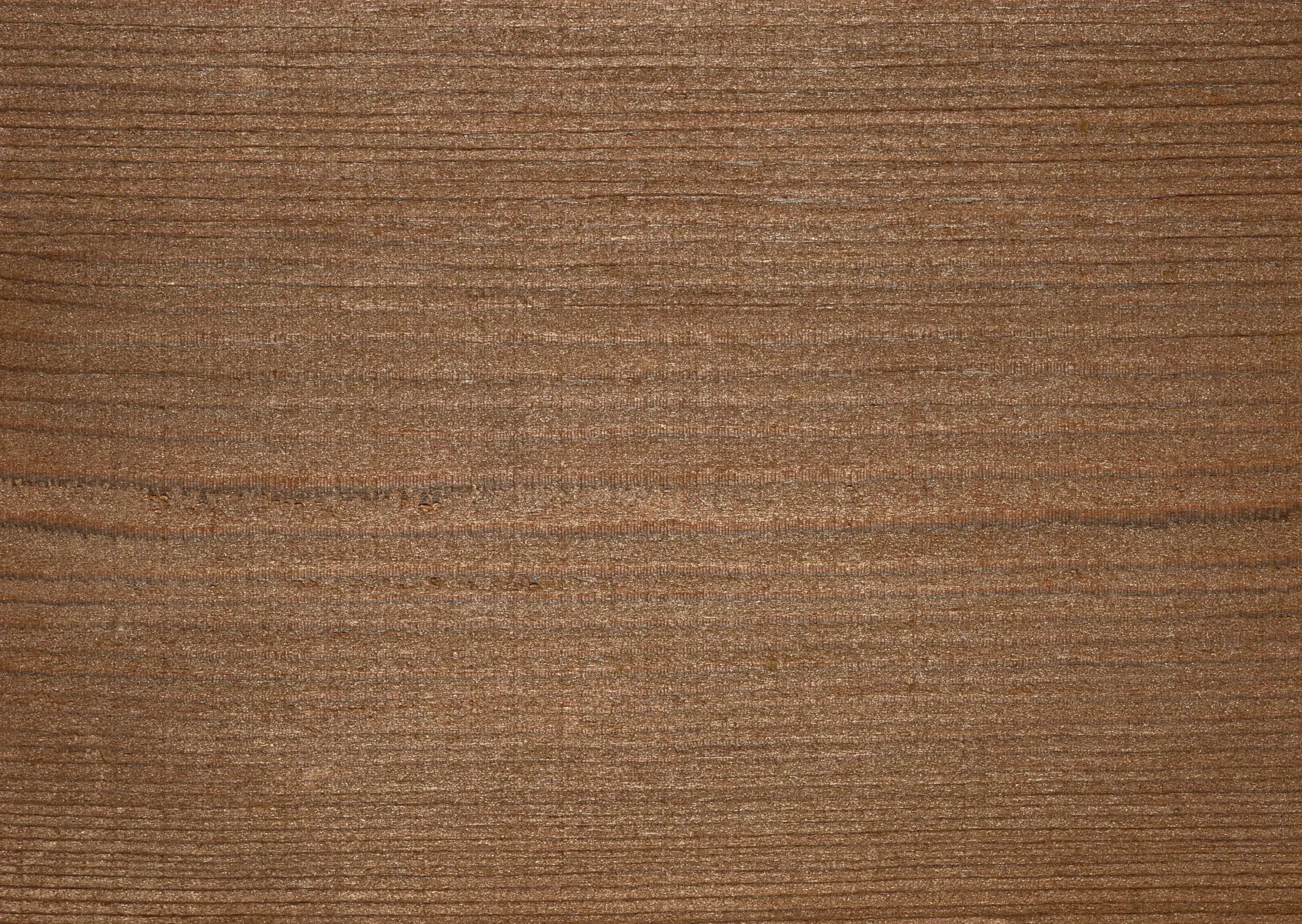 Lưu nháp tự động