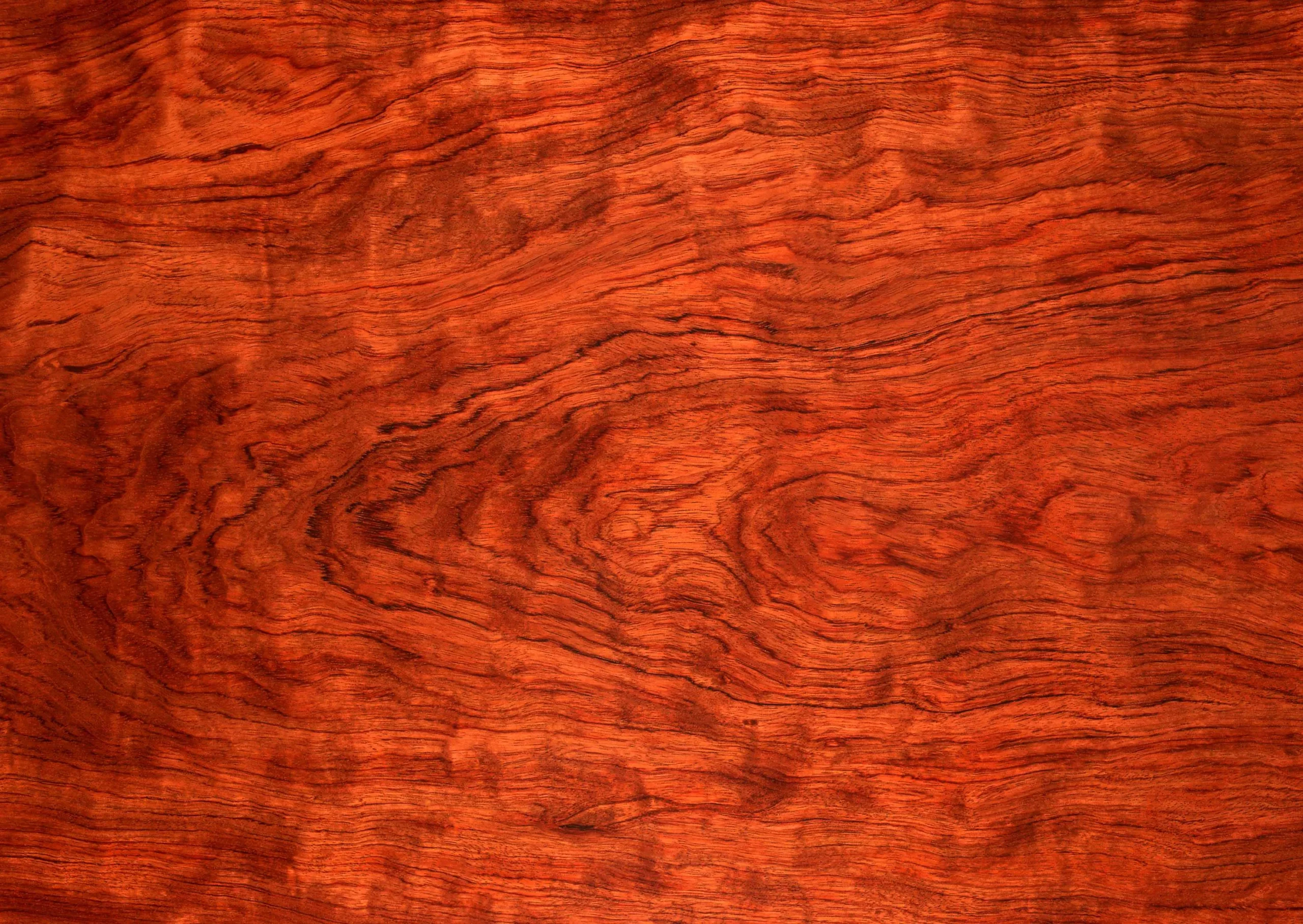 Lưu nháp tự động