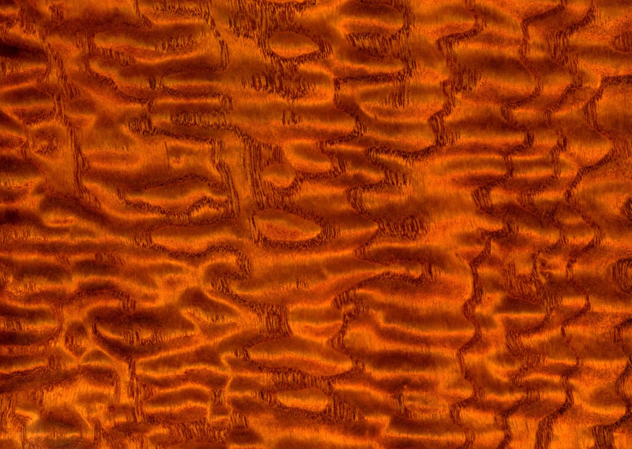 Lưu nháp tự động