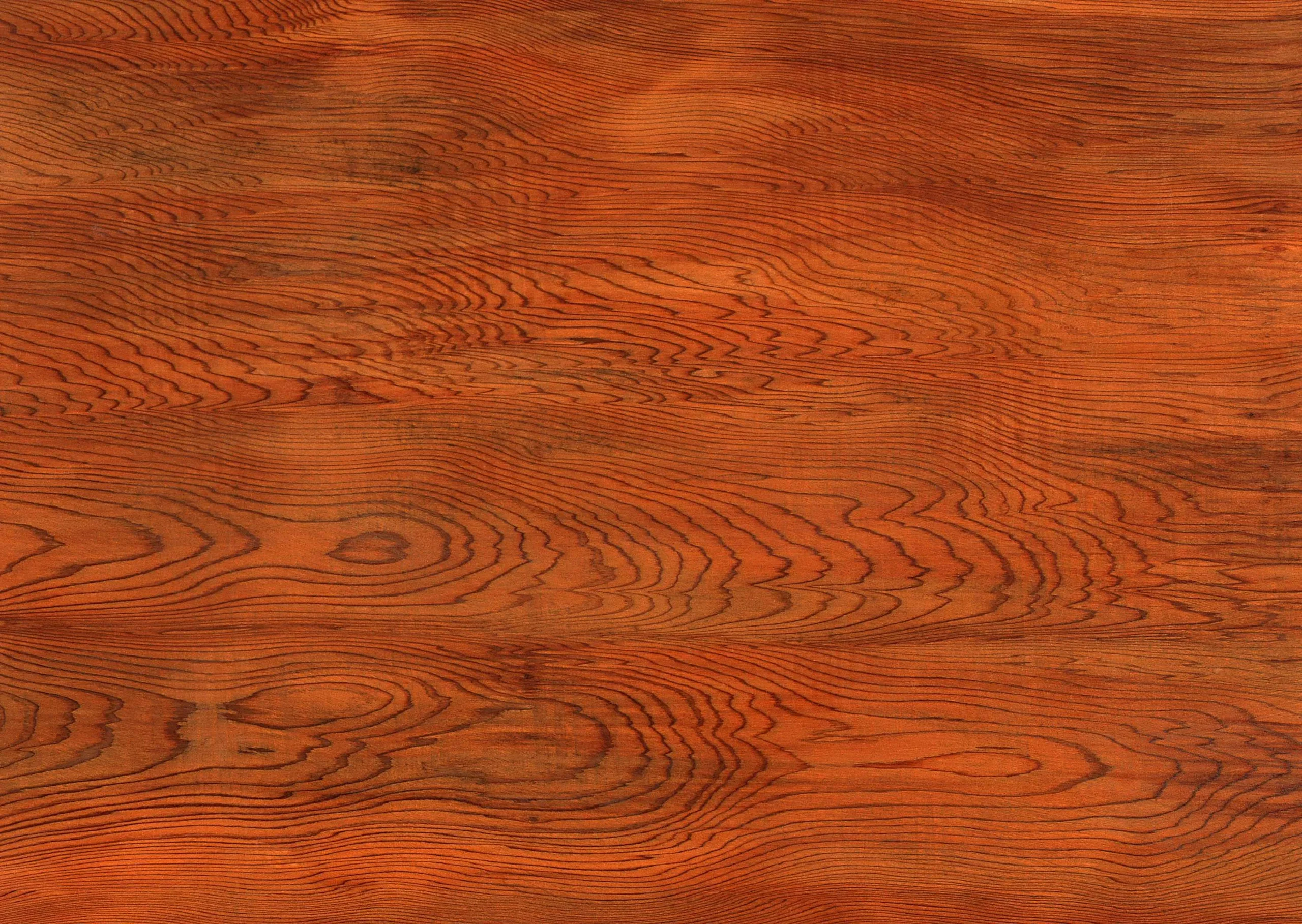 Lưu nháp tự động