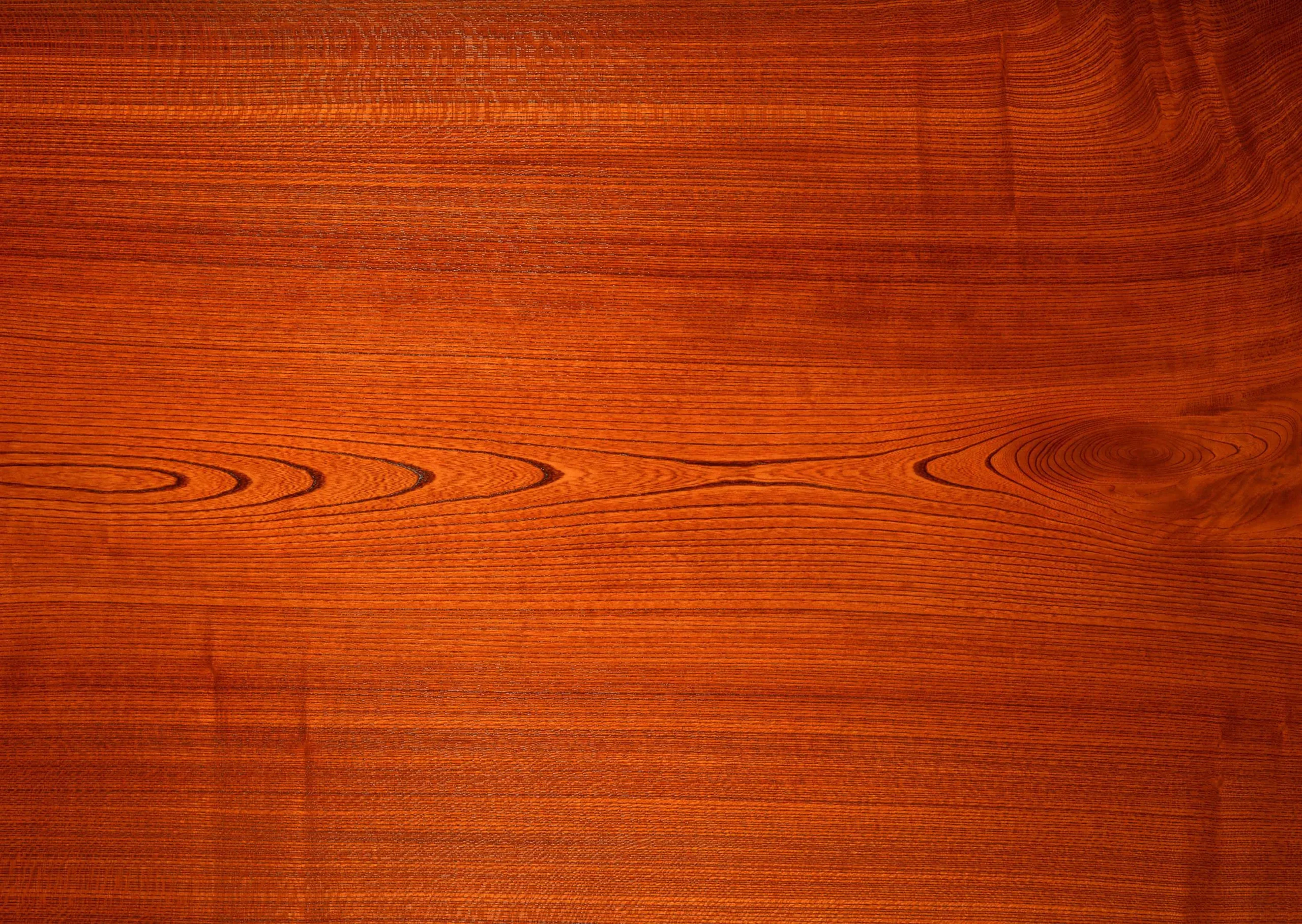 Lưu nháp tự động