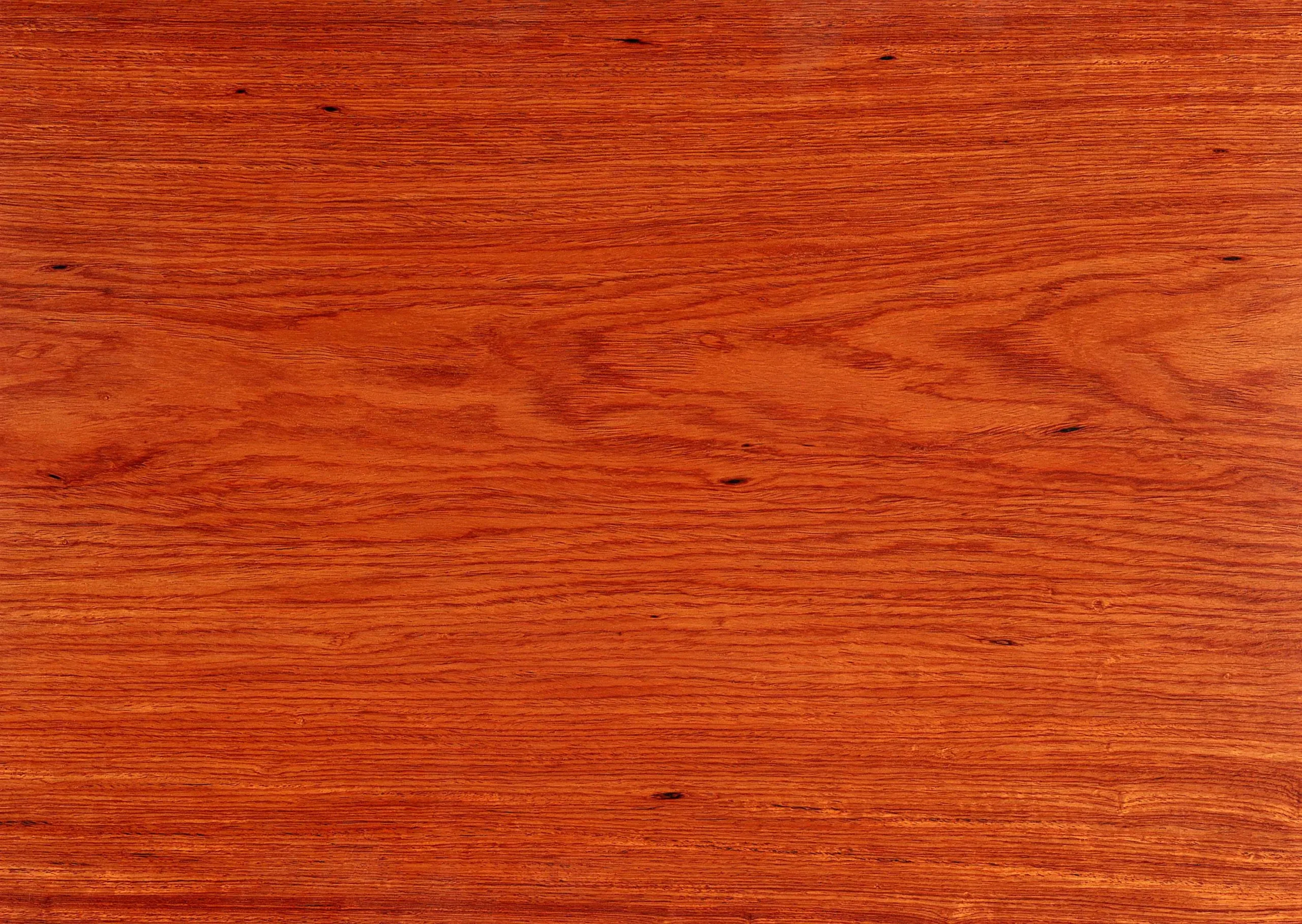 Lưu nháp tự động