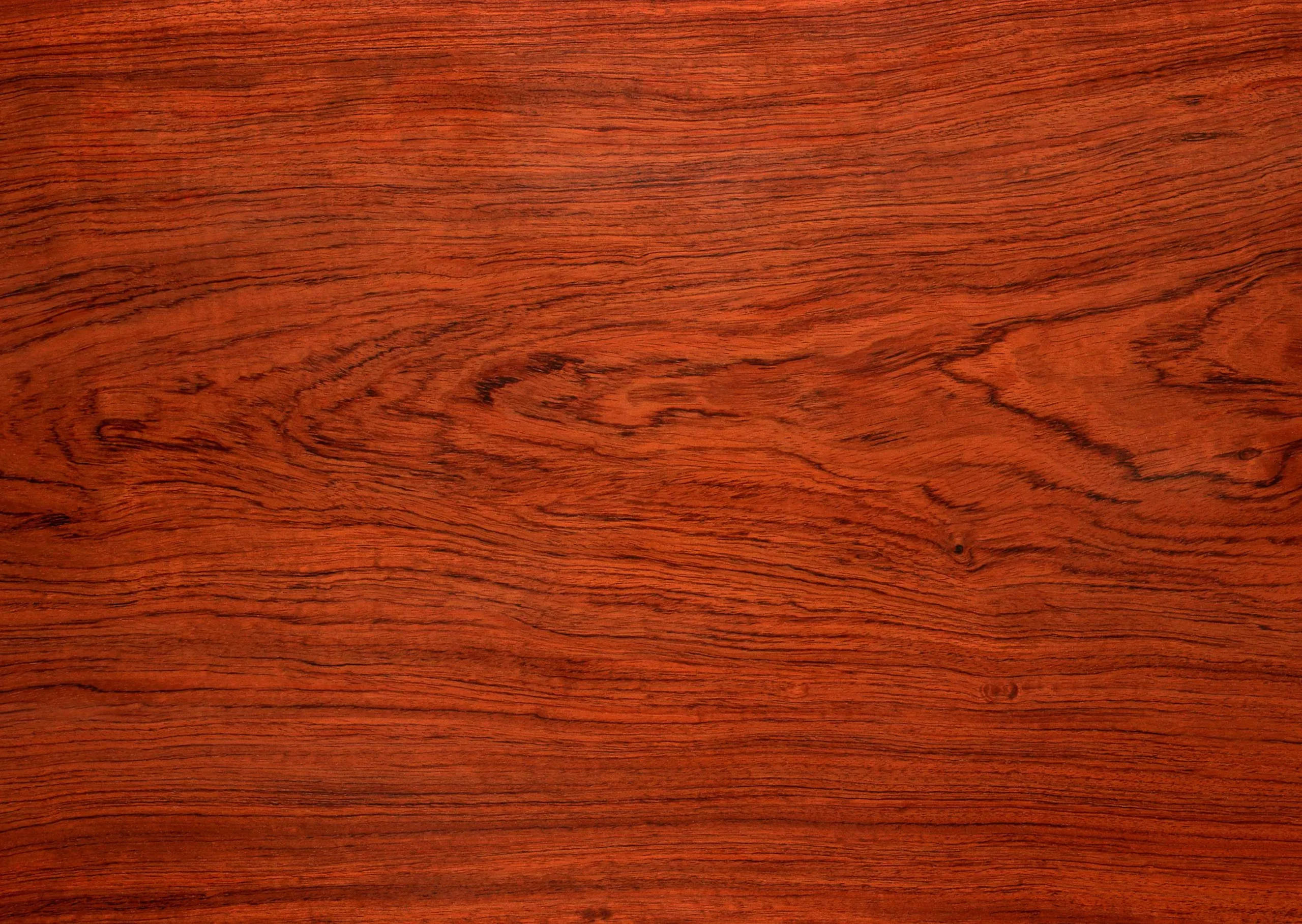 Lưu nháp tự động