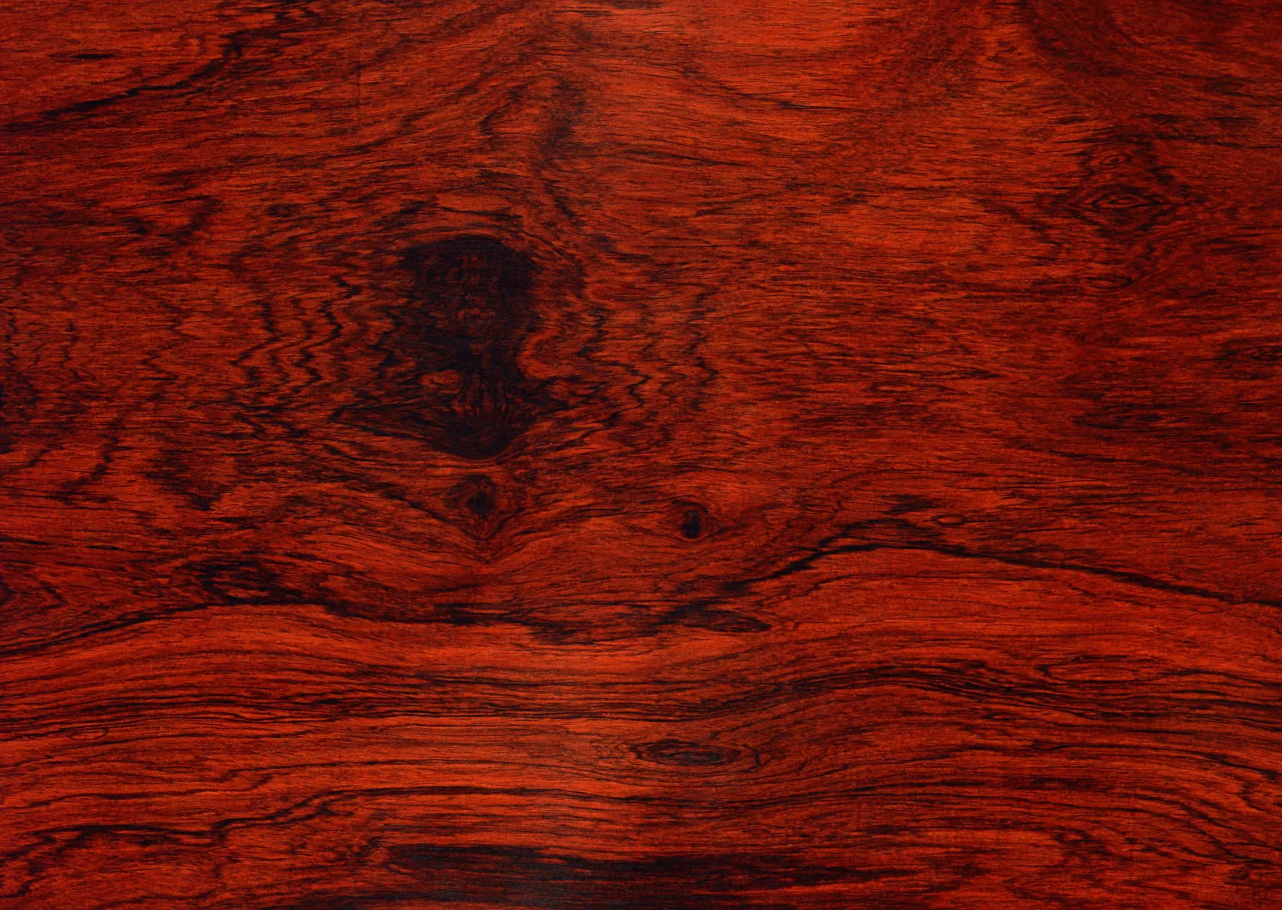 Lưu nháp tự động