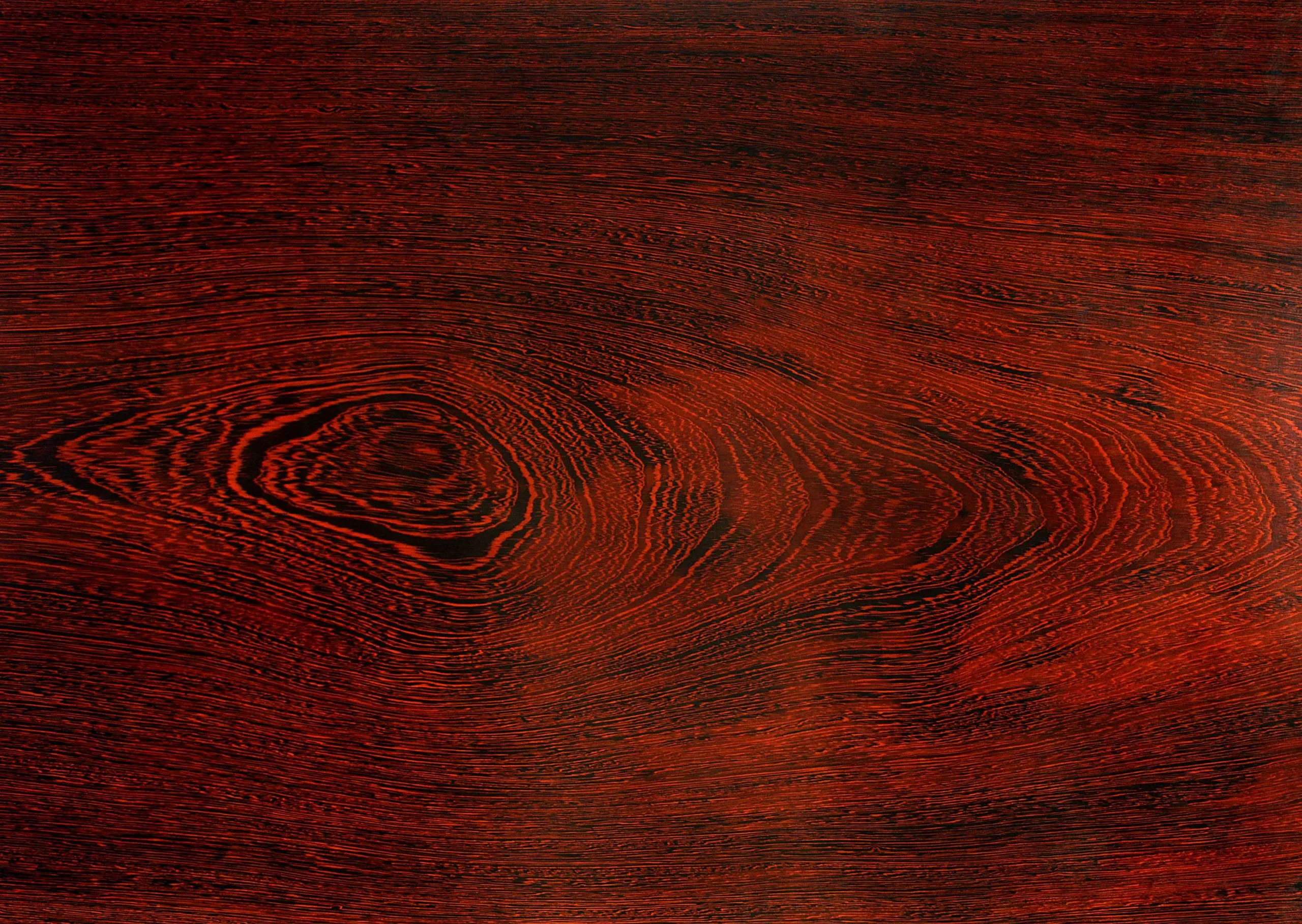 Lưu nháp tự động