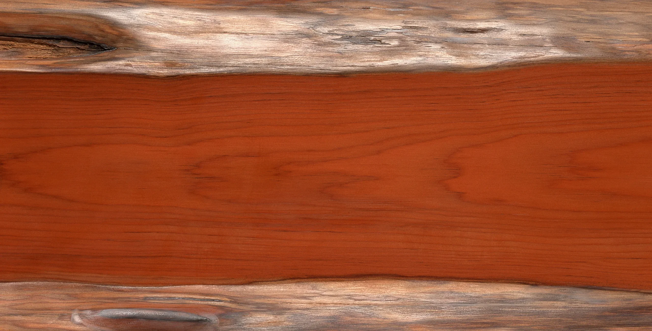 Lưu nháp tự động