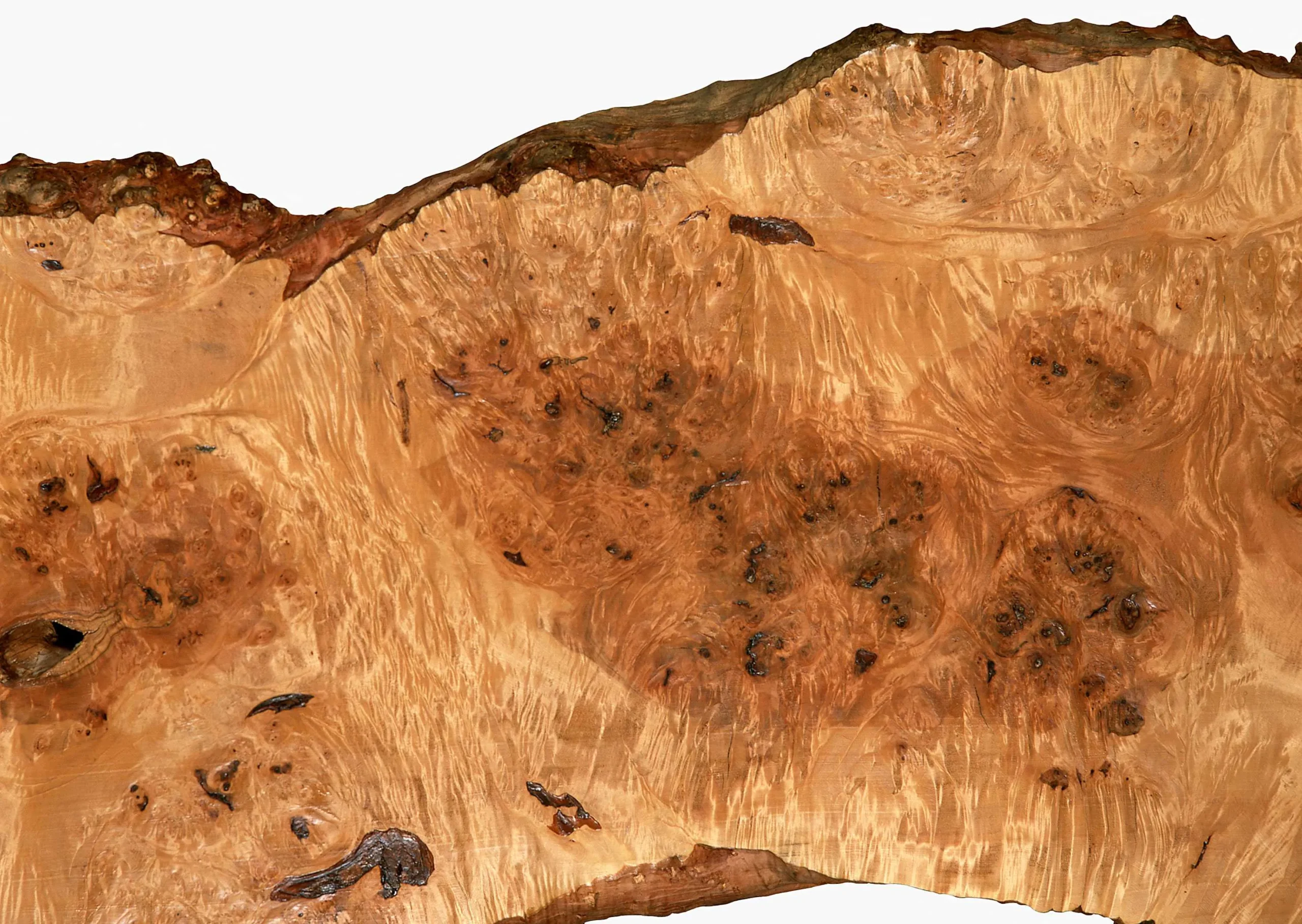 Lưu nháp tự động