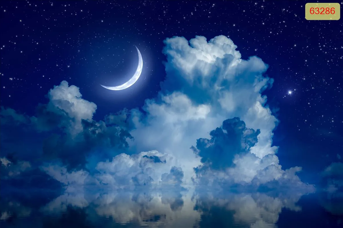 Lưu nháp tự động