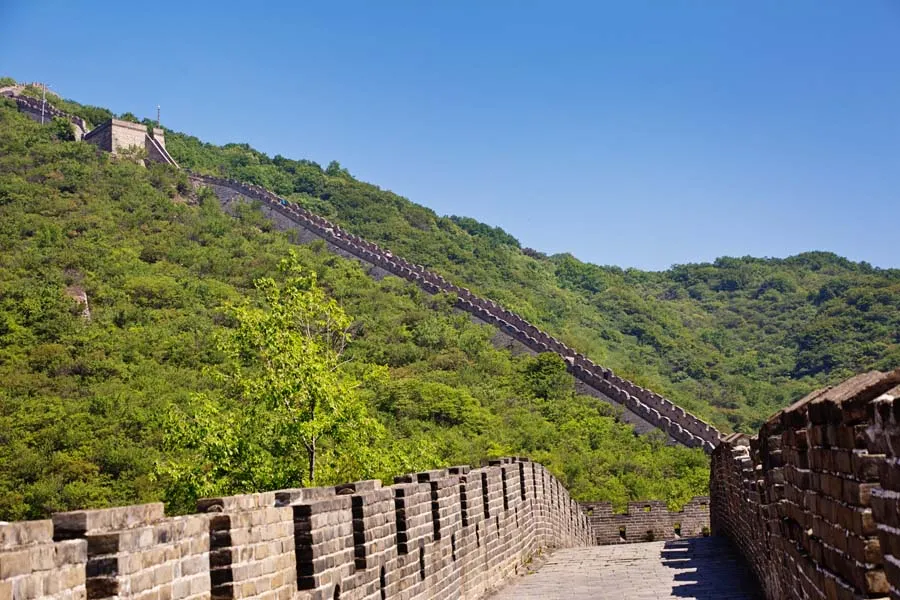 Lưu nháp tự động