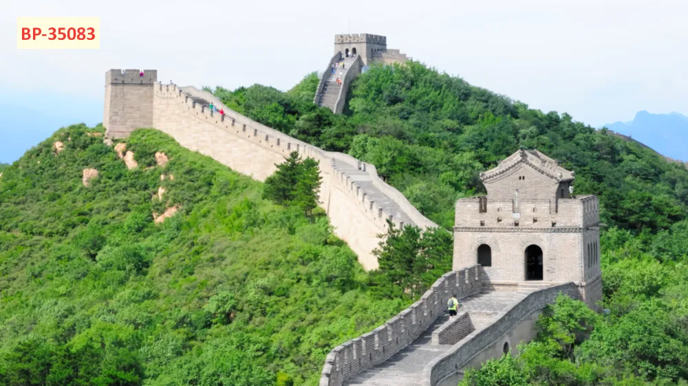 Lưu nháp tự động